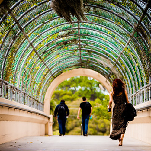 A nondescript image representing the Africana Studies program.